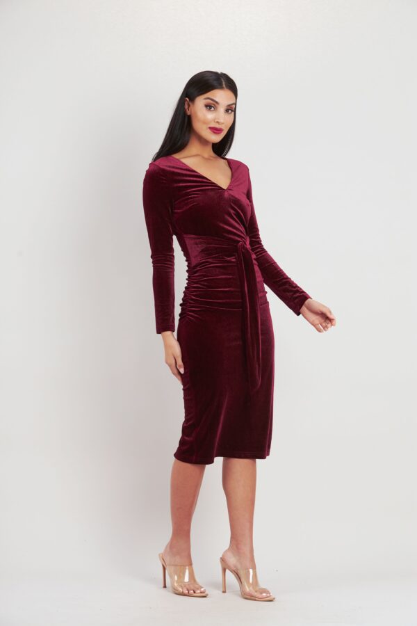 Sade Sleeve Velvet Dress - Image 2