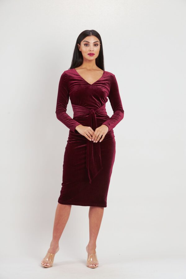 Sade Sleeve Velvet Dress