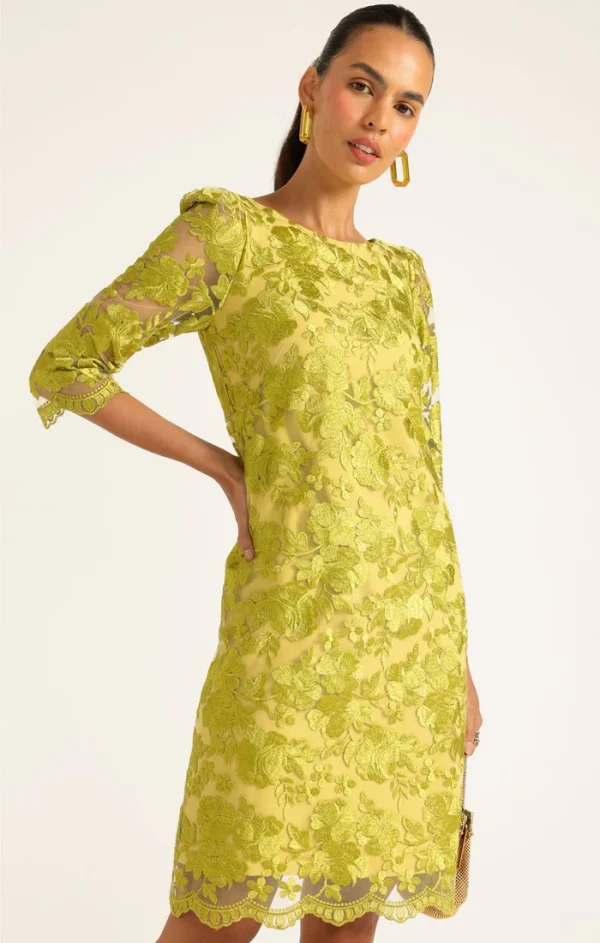 Layla Shift Dress - Chartreuse - Image 5