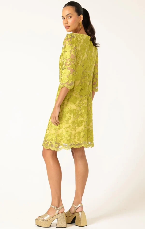 Layla Shift Dress - Chartreuse - Image 4
